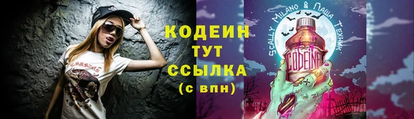 скорость Няндома