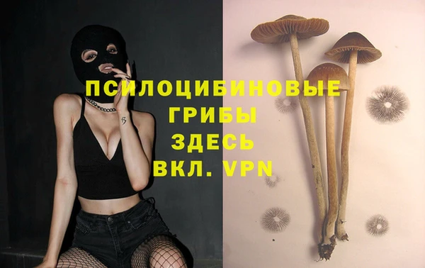 метадон Абаза